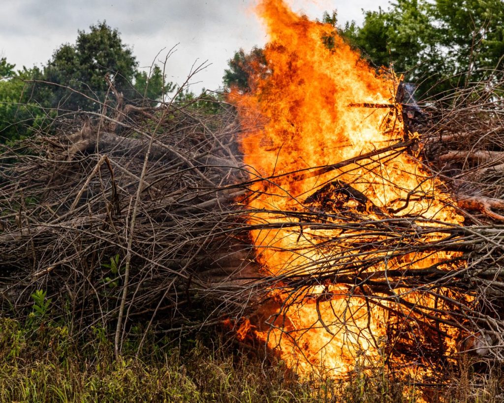 Fallen trees and branches on fire